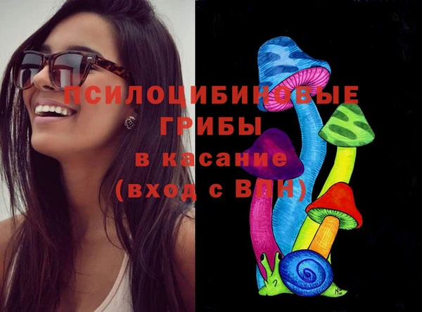 Альфа ПВП Кулебаки