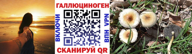 Псилоцибиновые грибы ЛСД  Тогучин 